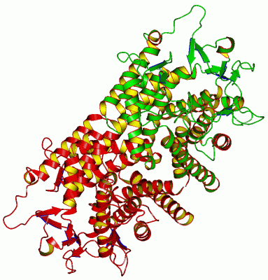 Image Asym.Unit - manually