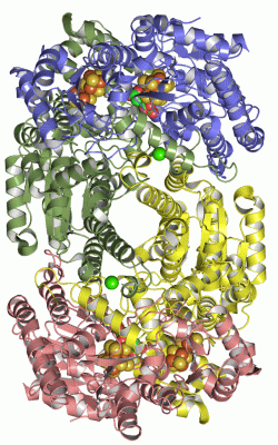 Image Asym./Biol. Unit - manually