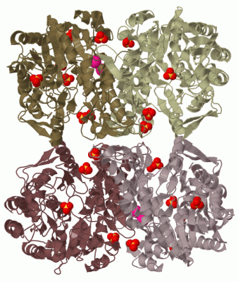 Image Biol.Unit 1 - manually