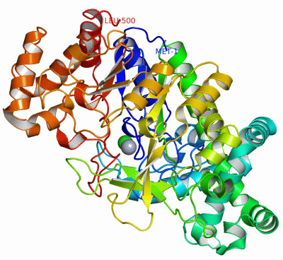 Image Asym./Biol. Unit - manually