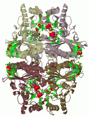 Image Biol.Unit 1 - manually