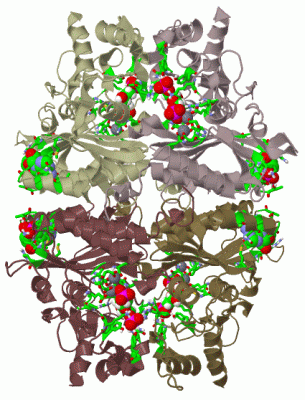 Image Biol.Unit 1 - manually