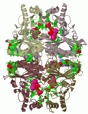 Image Biol.Unit 1 - manually