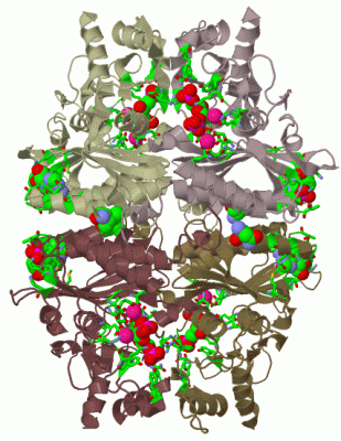 Image Biol.Unit 1 - manually