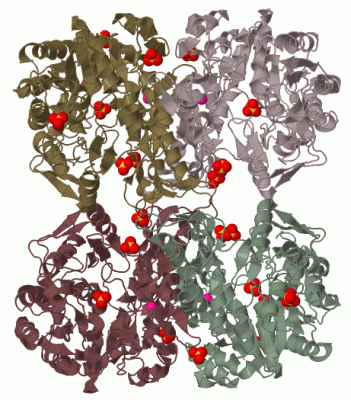 Image Biol.Unit 1 - manually