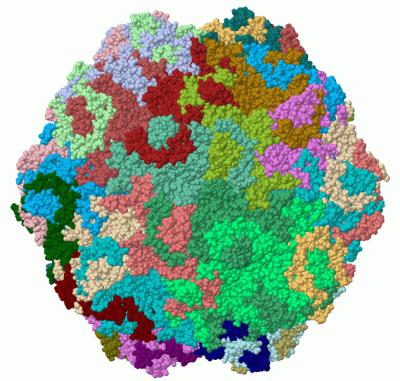 Image Biol.Unit 1 - manually