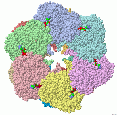 Image Asym./Biol. Unit - manually