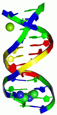 Image Asym./Biol. Unit - manually