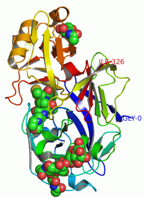 Image Asym.Unit - manually