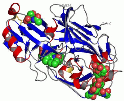Image Asym./Biol. Unit - manually