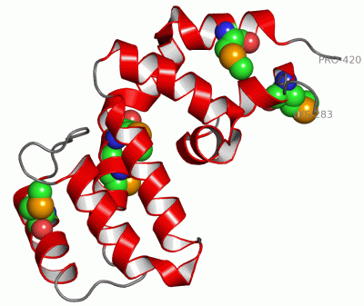 Image Asym./Biol. Unit - manually