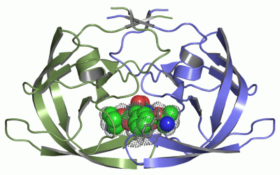 Image Asym./Biol. Unit - manually