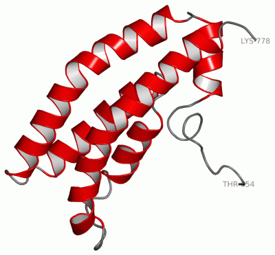 Image NMR Structure - manually