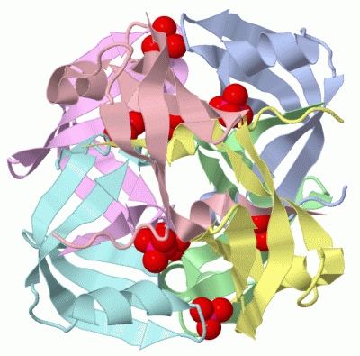 Image Biol.Unit 1 - manually