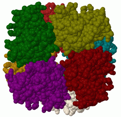 Image Biol.Unit 1 - manually