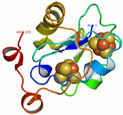 Image Asym./Biol. Unit - manually