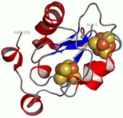 Image Asym./Biol. Unit - manually