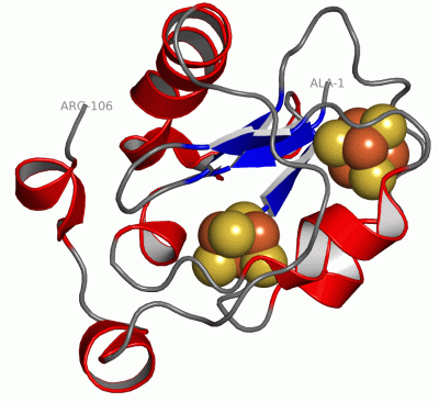 Image Asym./Biol. Unit - manually