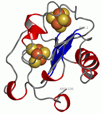 Image Asym./Biol. Unit - manually