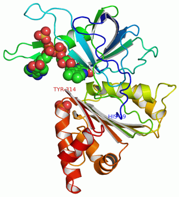 Image Asym./Biol. Unit - manually