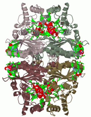 Image Biol.Unit 1 - manually