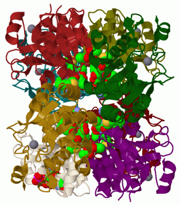 Image Biol.Unit 1 - manually