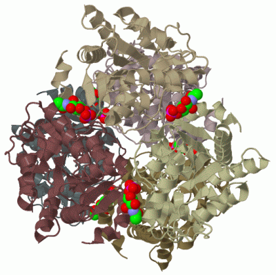 Image Biol.Unit 1 - manually