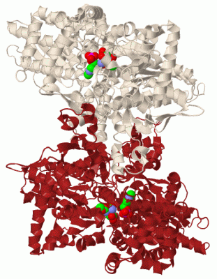 Image Biol.Unit 1 - manually