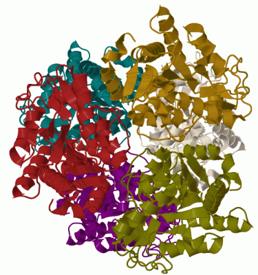 Image Biol.Unit 1 - manually