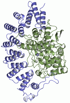 Image Asym./Biol. Unit - manually