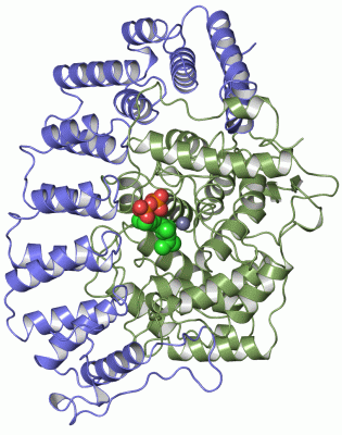 Image Asym./Biol. Unit - manually