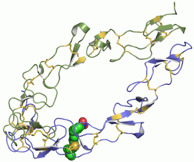 Image Asym./Biol. Unit - manually