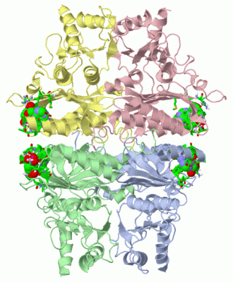 Image Asym./Biol. Unit - manually