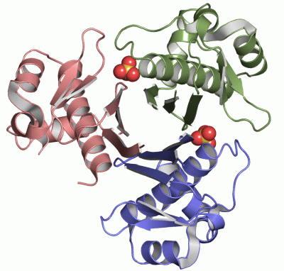 Image Asym./Biol. Unit - manually