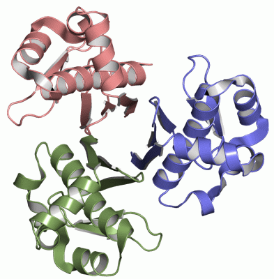 Image Asym./Biol. Unit - manually