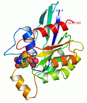 Image Asym./Biol. Unit - manually