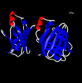Image Asym./Biol. Unit - manually