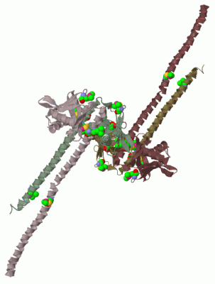 Image Biol.Unit 1 - manually