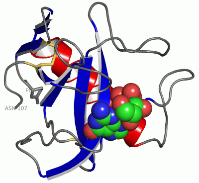Image Asym./Biol. Unit - manually