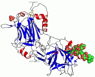 Image Asym./Biol. Unit - manually