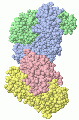 Image Asym.Unit - manually