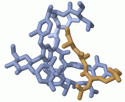 Image Biol.Unit 1 - manually