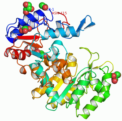 Image Asym./Biol. Unit - manually