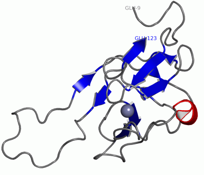 Image NMR Structure - manually