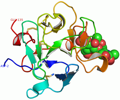 Image Asym./Biol. Unit - manually