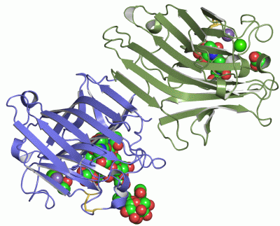 Image Asym./Biol. Unit - manually