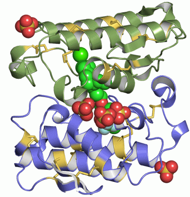 Image Asym./Biol. Unit - manually