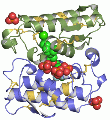 Image Asym./Biol. Unit - manually