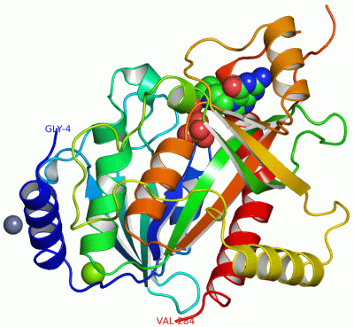 Image Asym.Unit - manually