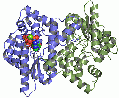 Image Asym./Biol. Unit - manually